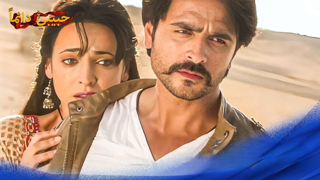   حبيبى دائما 